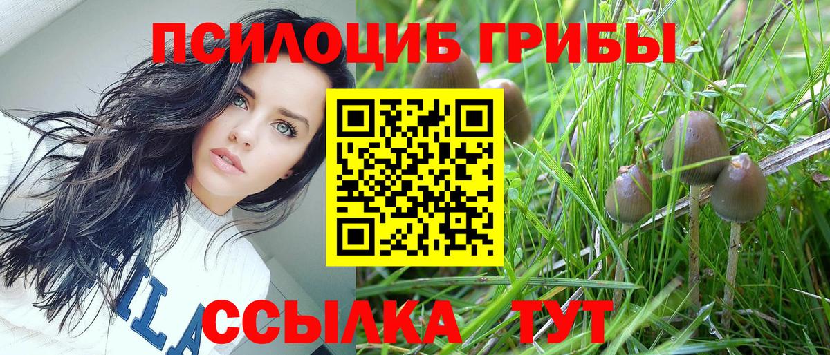 Корсаков  Псилоцибиновые грибы ЛСД  наркота  Вход с VPN 
